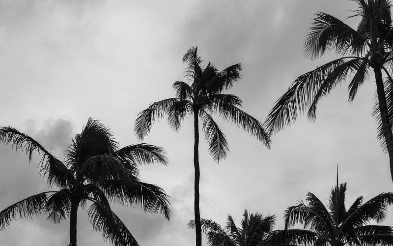Hawaiian islands, flood watch, Oahu, rain, weather