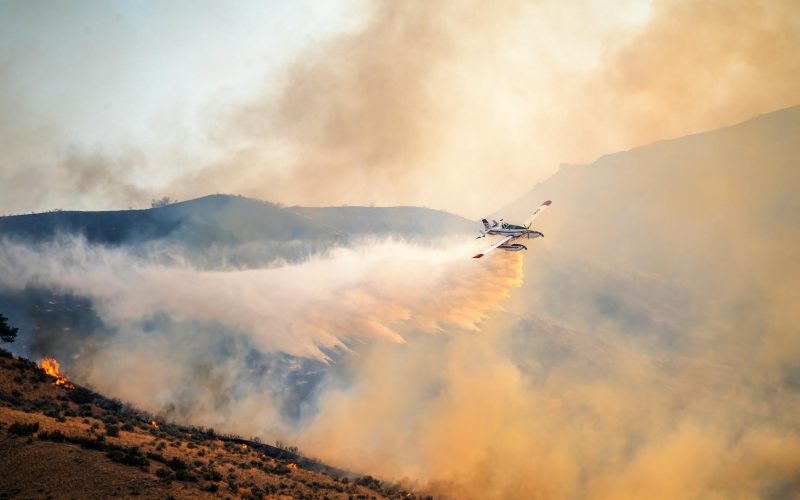Deadly Eaton and Palisades fires, fire containment update, wildfire recovery efforts, environmental impact of wildfires, US wildfire news